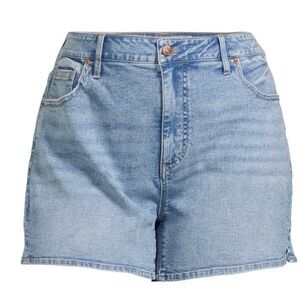 Terra & Sky A-Line Shorts Size 20W